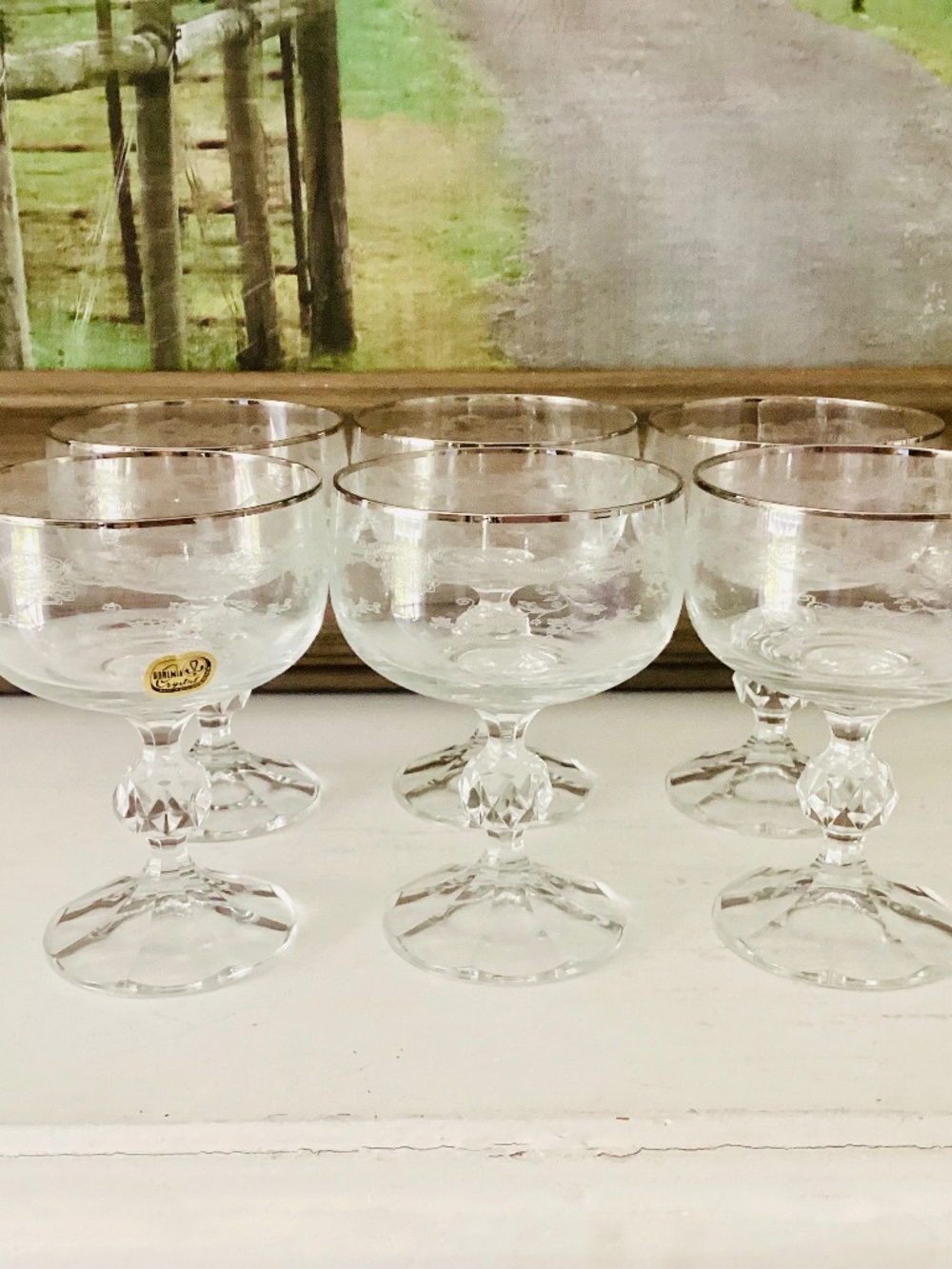 VTG Czech Etched Crystal Bohemia Glass Queen's Lace Etched Champagne Set Of 6